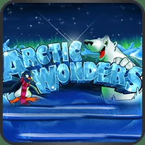 Artic Wonders