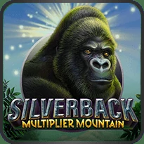 Silverback Multiplier Mountain